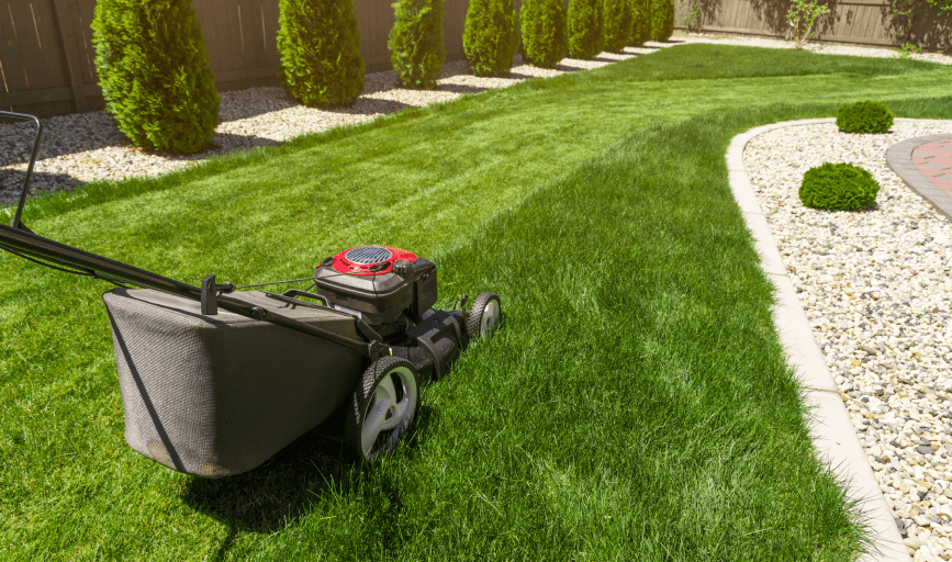 Lawn Mowing